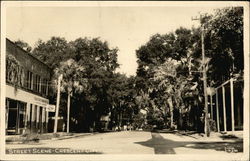 Street Scene Crescent City, FL Postcard Postcard Postcard