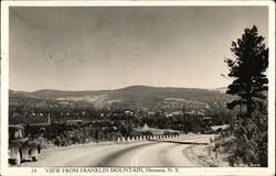 View from Franklin Mountain Oneonta, NY Postcard Postcard Postcard