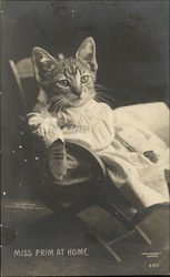 Miss Prim at Home Postcard