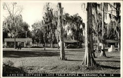 Lakeside Cottages, Lake Tsala Apopka Lakeside Cottages, Lake Tsala Apopka