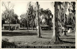 Lakeside Cottages, Lake Tsala Apopka Hernando, FL Postcard Postcard Postcard