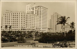 Miami From Bay Front Park Postcard