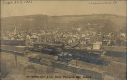 Birds-Eye View, From Prospect Hill Sidney, NY Postcard Postcard Postcard