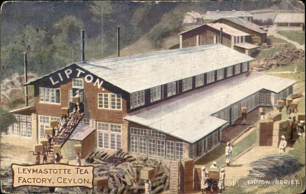 Leymastotte Tea Factory Ceylom India