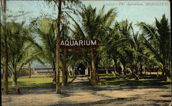 The Aquarium Honolulu, HI Postcard Postcard Postcard