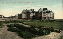 Agricultural College, Cornell Univerity Postcard