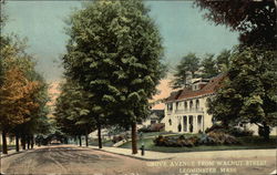 Grove Avenue from Walnut Street Postcard