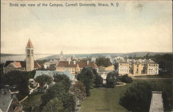 Bird's-Eye View of Campus, Cornell University Postcard