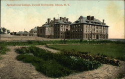 Agricultural College, Cornell Univerity Postcard