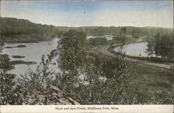 Duck and Spot Ponds, Middlesex Fells Postcard