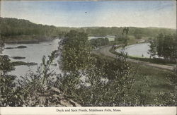 Duck and Spot Ponds, Middlesex Fells Stoneham, MA Postcard Postcard Postcard