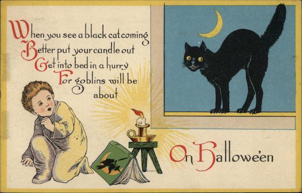 Black Cat on Halloween