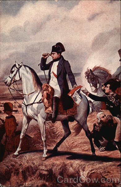 Napoeleon Bonaparte on the Battlefield Military