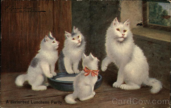 Four Kittens Having Lunch! Cats