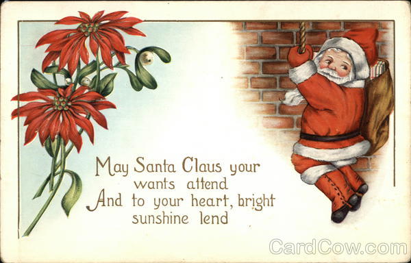 Santa Claus with Christmas Flower