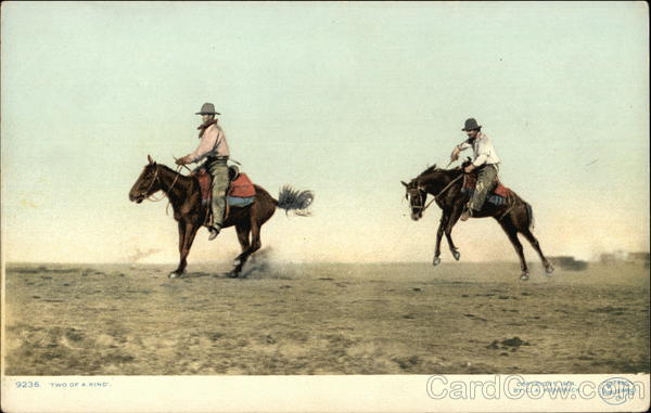 Two Of A Kind Cowboy Western