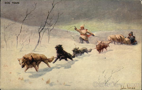 Dog Train - John Innes Dogs