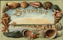 Seashells and the Seashore Postcard