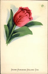 Drink Formosa Oolong Tea Postcard