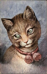 Inquisitive Kitty Postcard