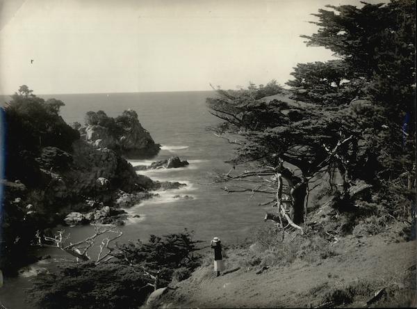 17 Mile Drive Rare Original Photograph Monterey California