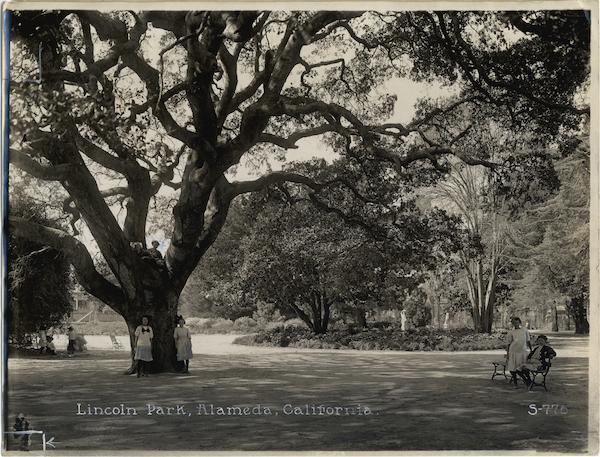 Girls at Lincoln Park Rare Original Photograph Alameda California