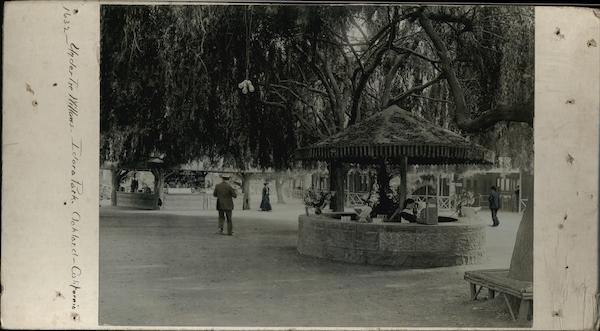 Idora Park - Under the Willows Oakland California