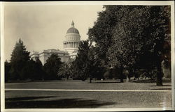 State Capitol Building & Grounds Rare Original Photograph Postcard