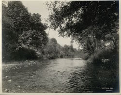 Capitola - River w/Sheep Rare Original Photograph Original Photograph