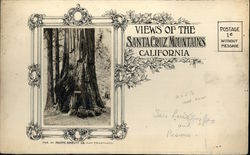 Views of the Santa Cruz Mountains Original Art Postcard