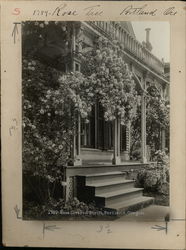 Rose Covered Porch Rare Original Photograph #1789 Portland, OR Original Photograph Original Photograph Original Photograph