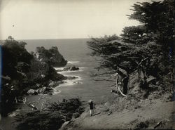 17 Mile Drive Rare Original Photograph Monterey, CA Original Photograph Original Photograph Original Photograph