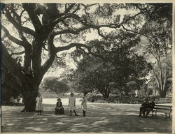 Children at Lincoln Park Rare Original Photograph Original Photograph