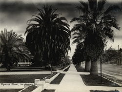 Figueroa Street Rare Original Photograph #262 Original Photograph