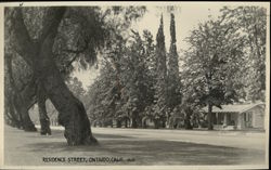 Euclid Avenue Rare Original Photograph #5629 Ontario, CA Original Photograph Original Photograph Original Photograph