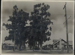 Lomita Avenue Rare Original Photograph S-47 Glendale, CA Original Photograph Original Photograph Original Photograph