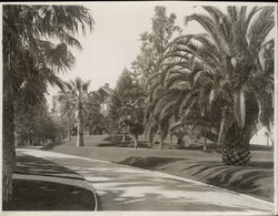 Winter Residence & Grounds Rare Original Photograph Original Photograph