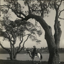 Rare Original Photograph Original Photograph