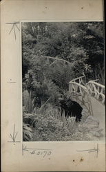 Rare Original Photograph Original Photograph