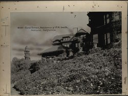 Rare Original Photograph Original Photograph