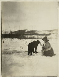 2 Rare Photographs Woman with Bear Cub, Bear in Tree Original Photograph