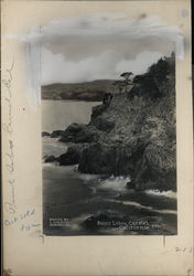 Point Lobos Rare Original Photograph Original Photograph