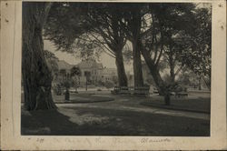 A Bit of the Park Rare Original Photograph A Bit of the Park Rare Original Photograph