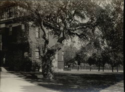 Residence of Frederik van Sicklen Rare Original Photograph Residence of Frederik van Sicklen Rare Original Photograph