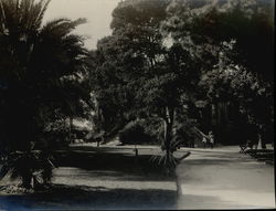 Residence of J.B. Gilbert Rare Original Photograph Residence of J.B. Gilbert Rare Original Photograph