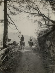 Horseback, Trail up Mt. Wilson Rare Original Photograph Horseback, Trail up Mt. Wilson Rare Original Photograph