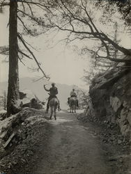 Horseback, Trail up Mt. Wilson Rare Original Photograph Original Photograph