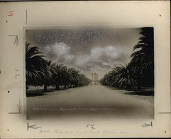 Palm Avenue Agnews State Hospital Rare Original Photograph Palm Avenue Agnews State Hospital Rare Original Photograph