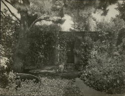 Original Cabin of Mr. Smith Original Photograph