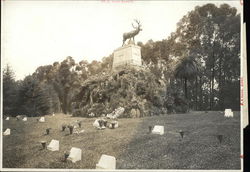 Elks Rest - Mountain View Cemetery Oakland, CA Original Photograph Original Photograph Original Photograph